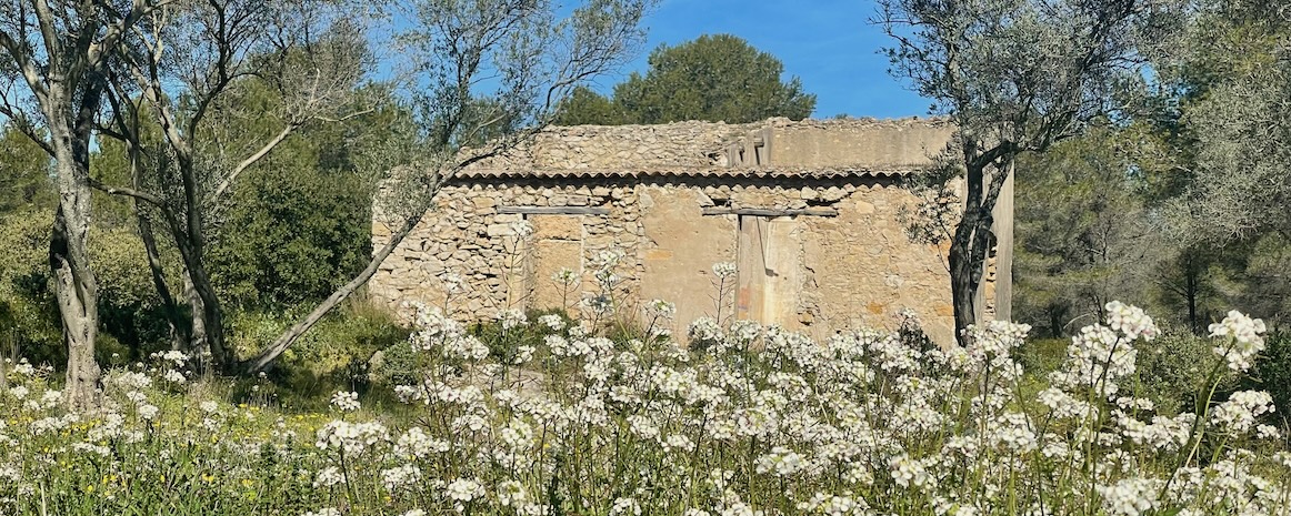 Parc de Figuerolles (Martigues)