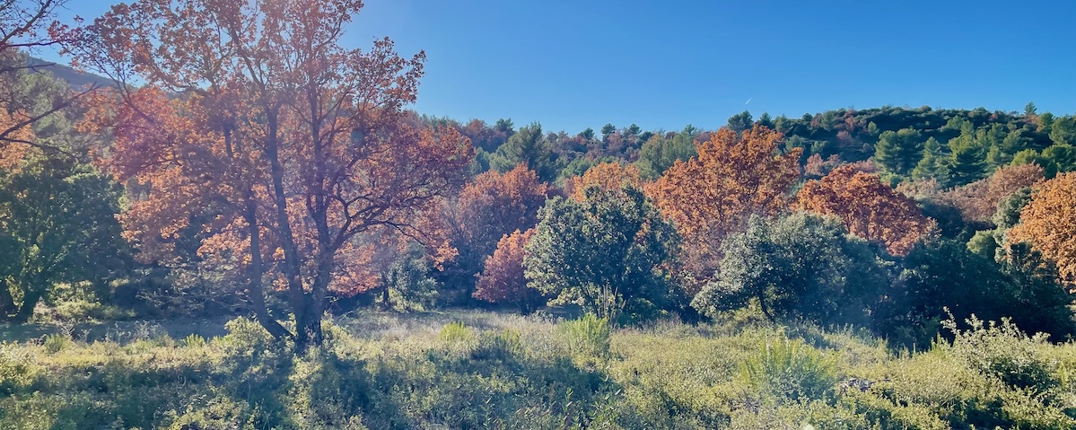 Parc de Pichauris (Allauch)