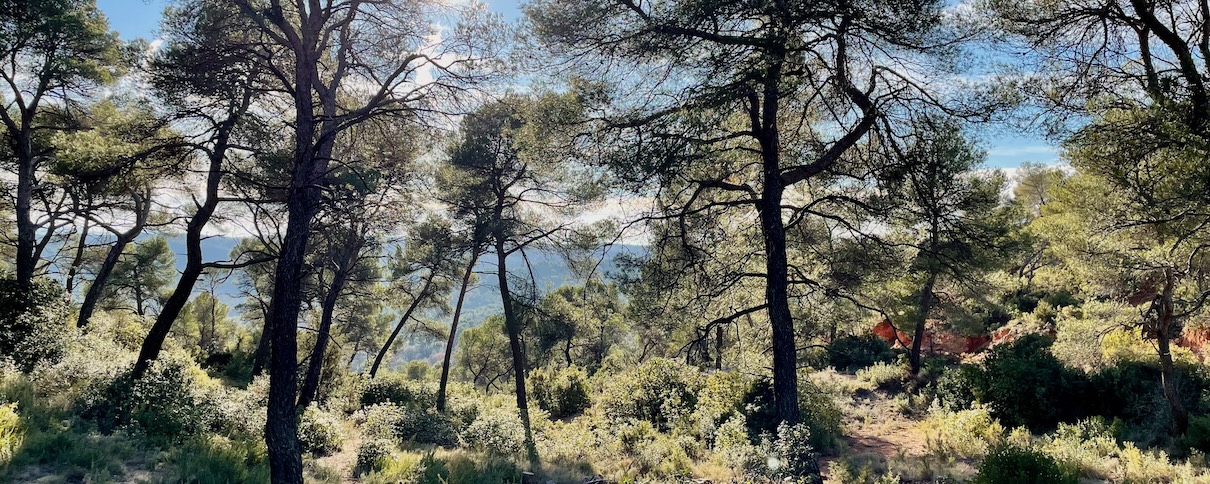 Parc de Roques Hautes (Beaurecueil)