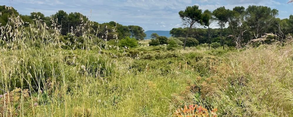 Plateau du Deven (Istres)